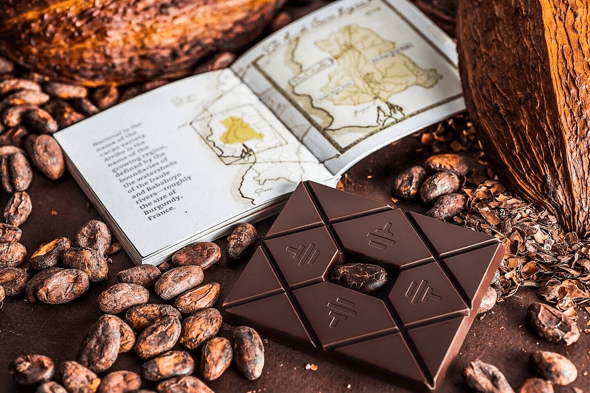 Chocolate bar surrounded by cocoa beans 