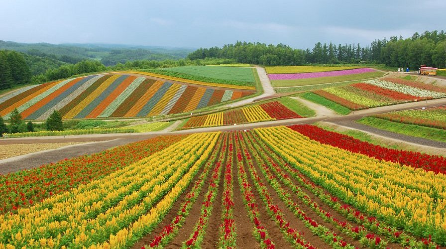 Hokkaido Road Trip