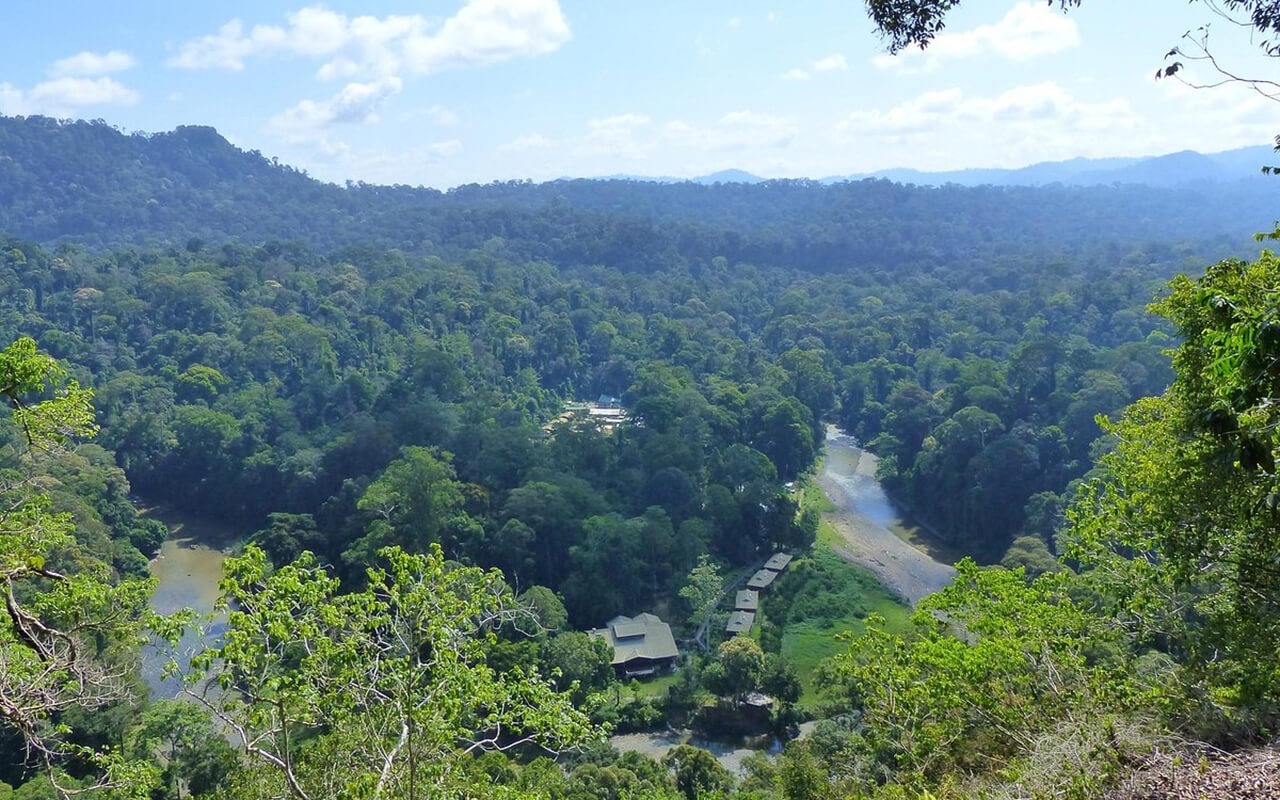 Borneo Rainforest, Malaysia and Indonesia