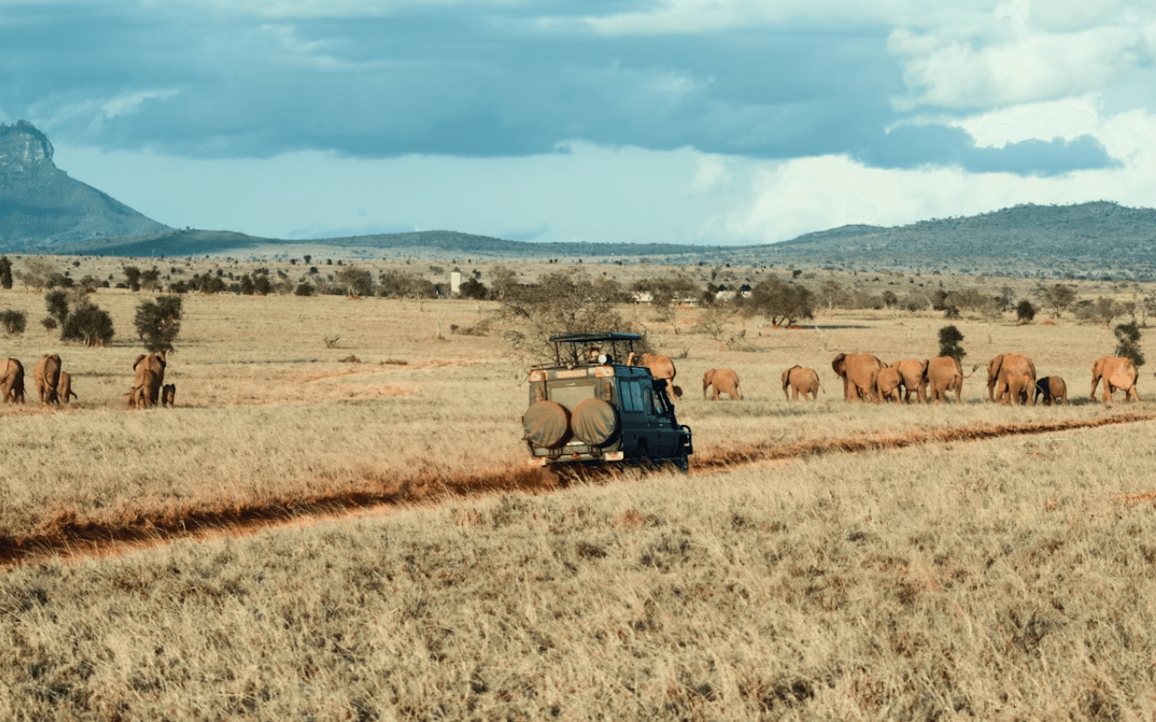 Safari in Africa