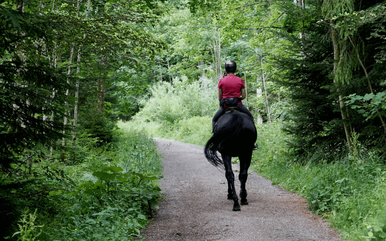 Horseback Riding