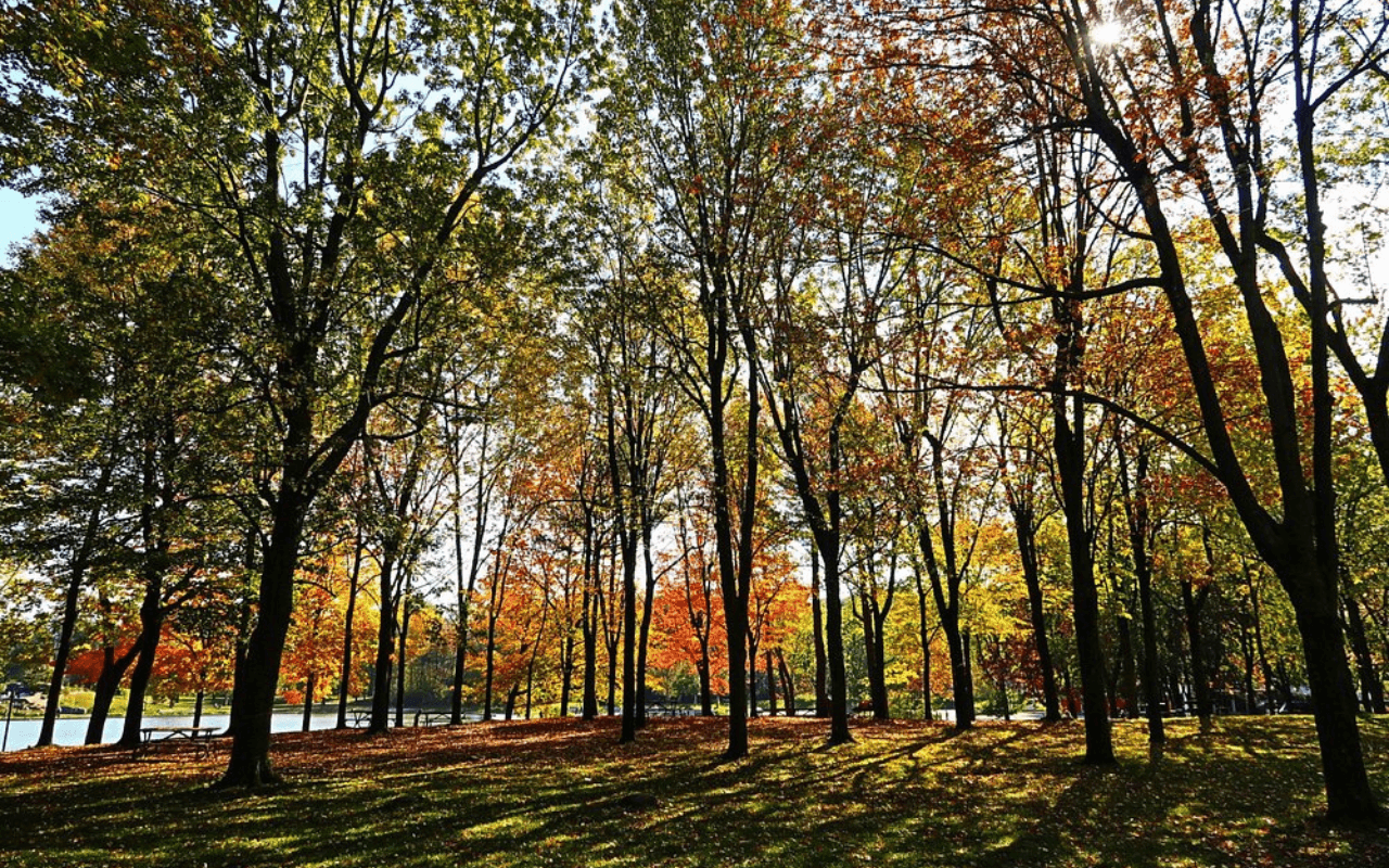 Mount Royal, Montreal