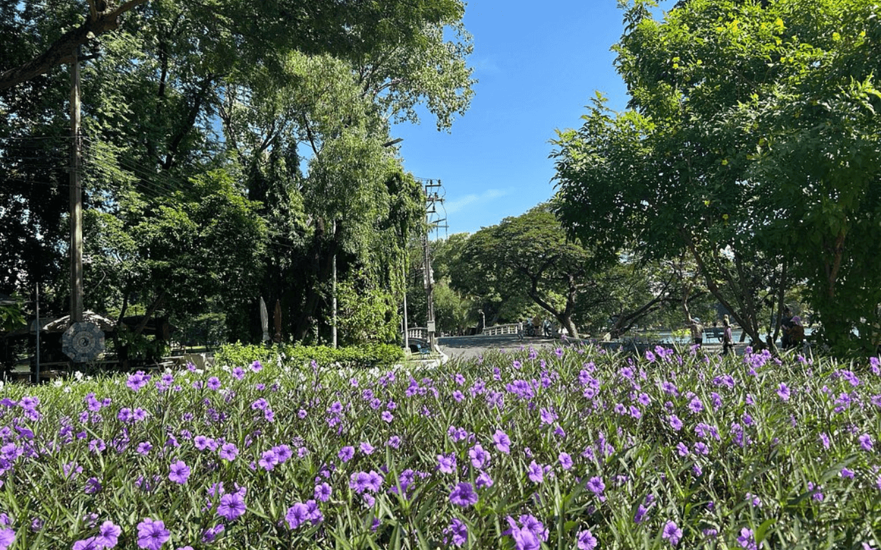 Lumpini Park, Bangkok
