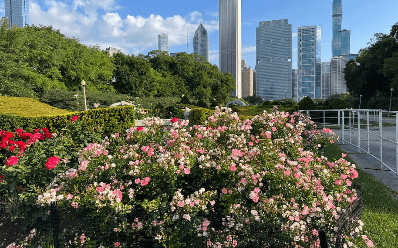Grant Park, Chicago