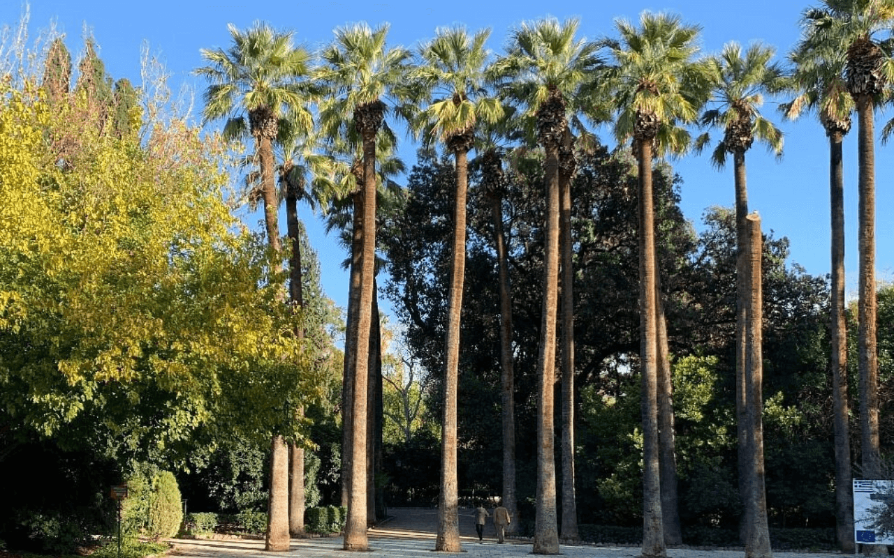 National Garden, Athens, Greece