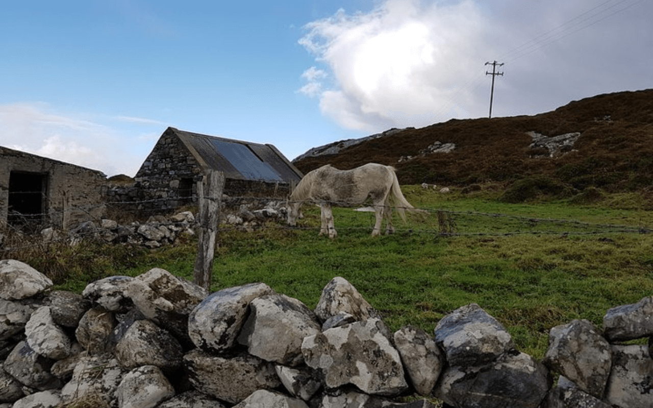 Connemara Ponies, Ireland