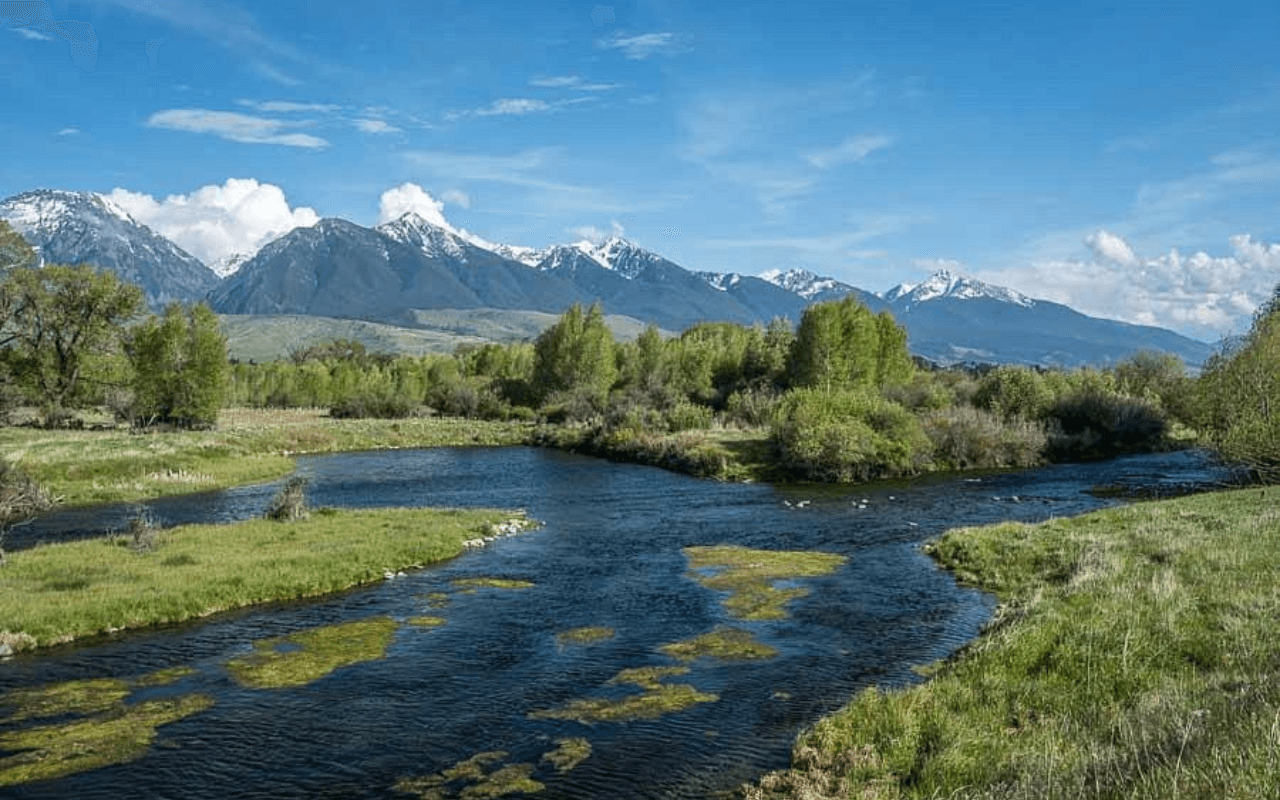 Fly Fishing