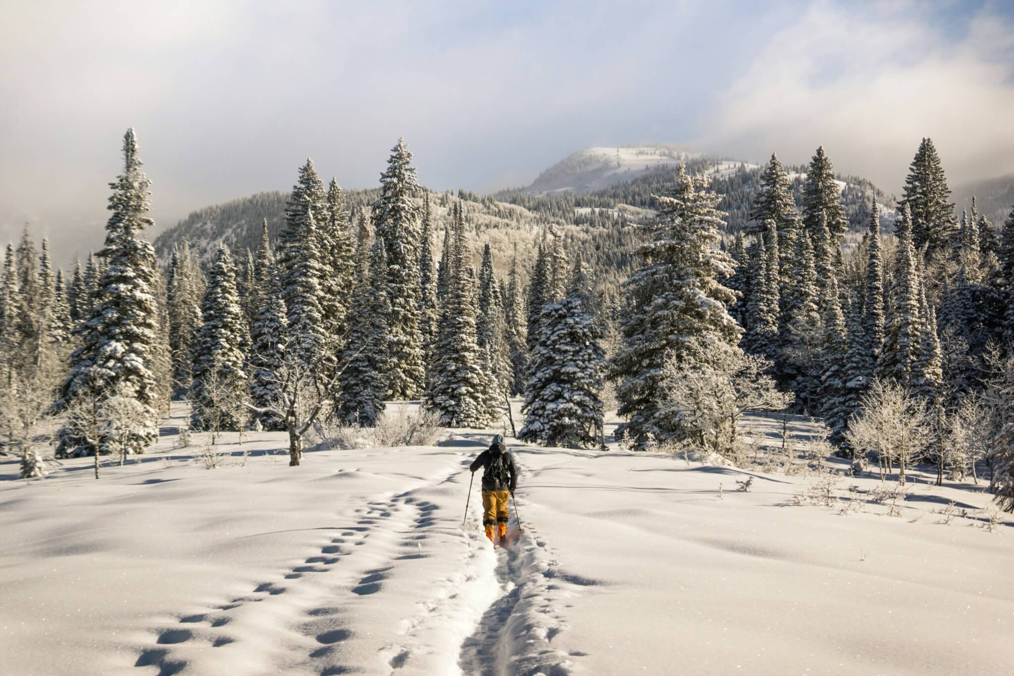 Skier walking through deep snow toward snowy pine-covered mountains on a winter day