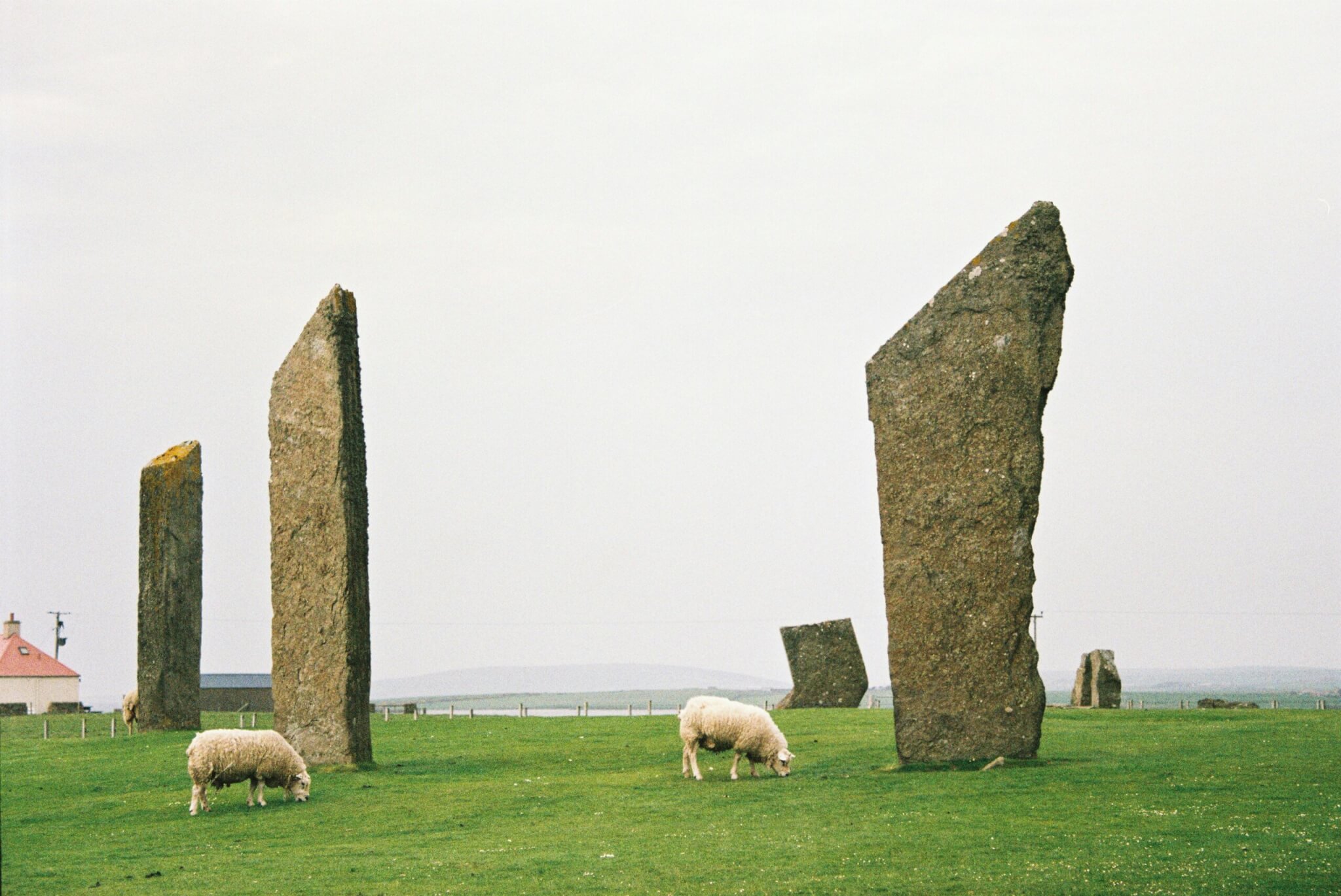 the standing stones of steness
