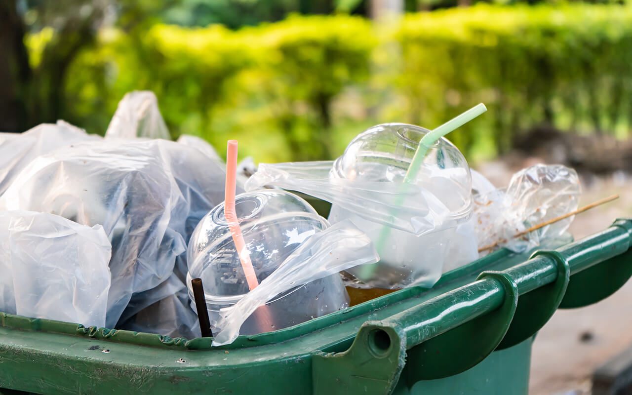 Plastic to-go cups in the trash