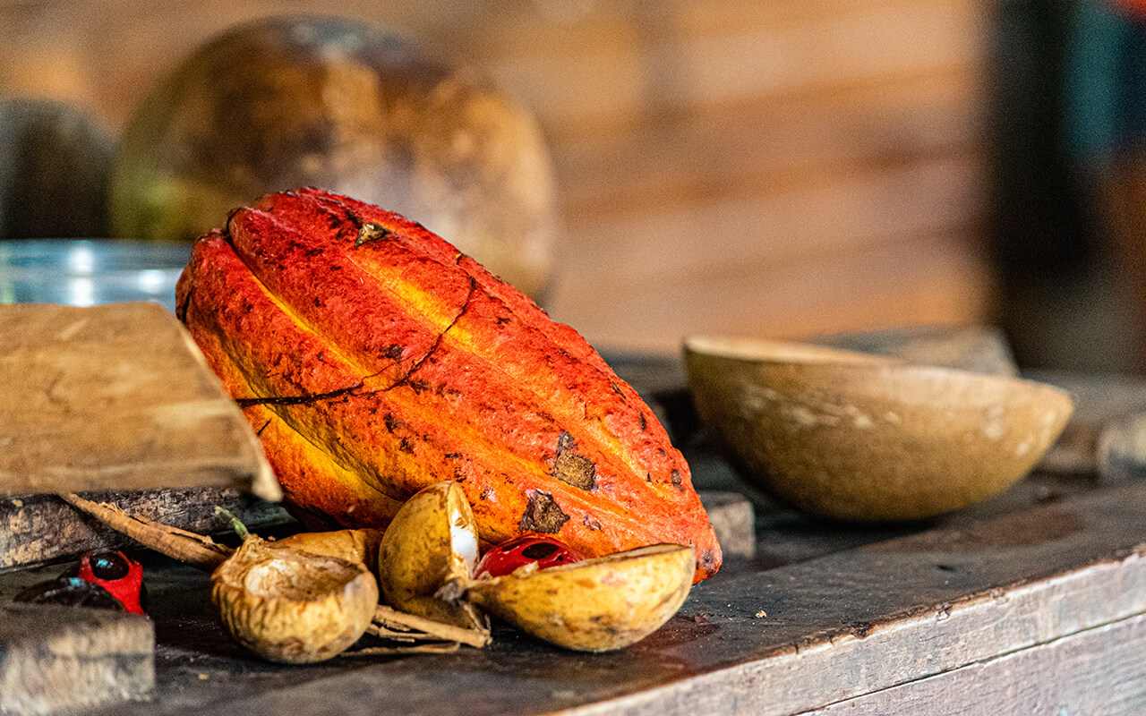Cocoa Beans from Factory in Grenada