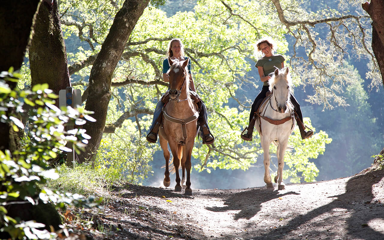 Women on a horse trail