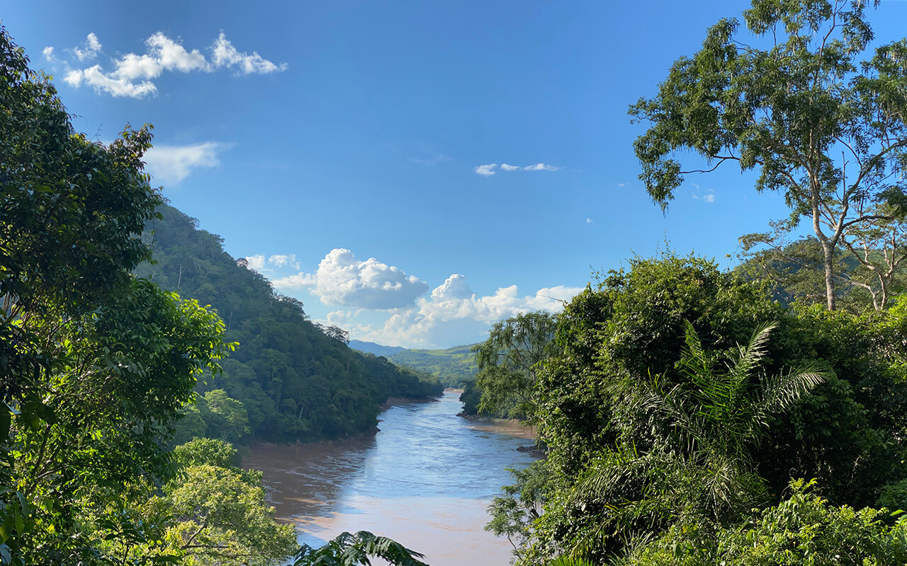 Amazon Rainforest, South America