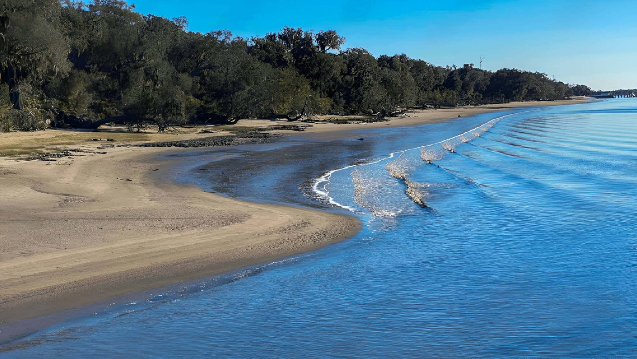 Cumberland Island, Georgia