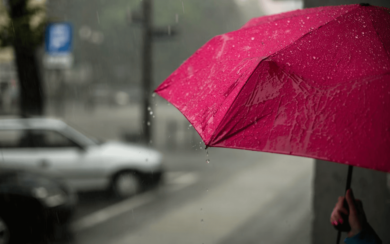 umbrella with rain