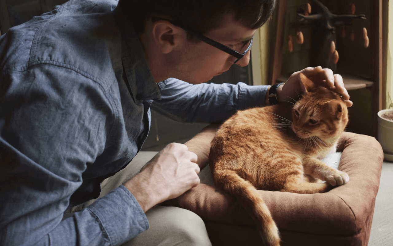 Man petting an orange cat