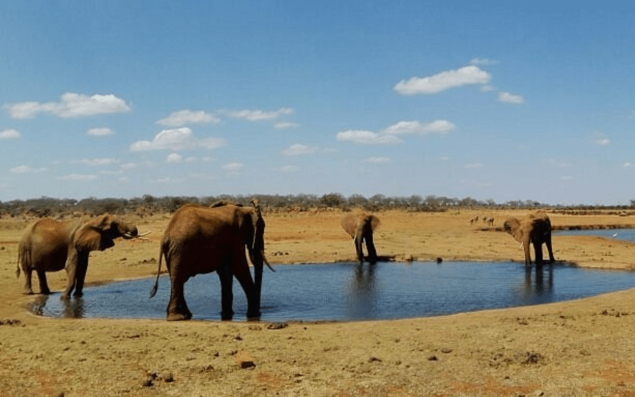 Tsavo National Park, Kenya