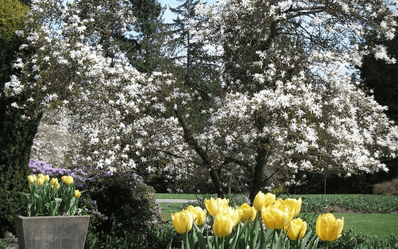 Stanley Park, Vancouver, Canada