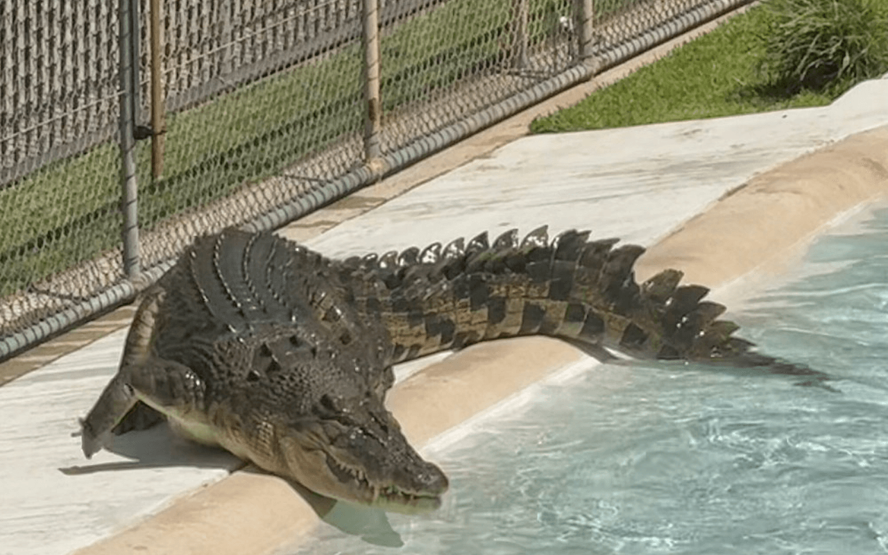 Australia Zoo