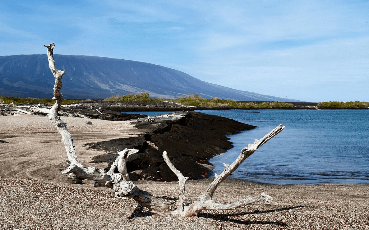 Galapagos Islands