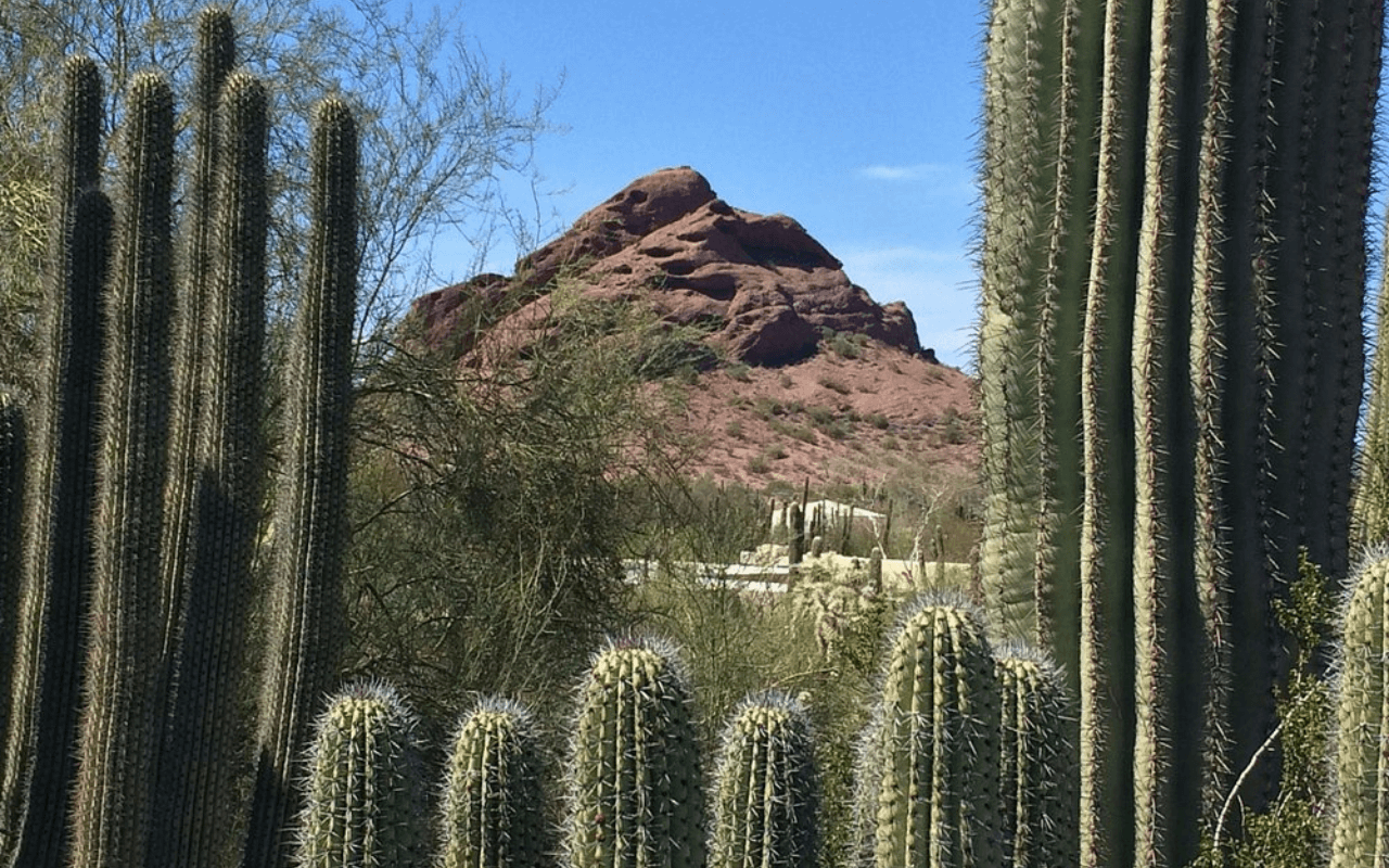 Phoenix, Arizona