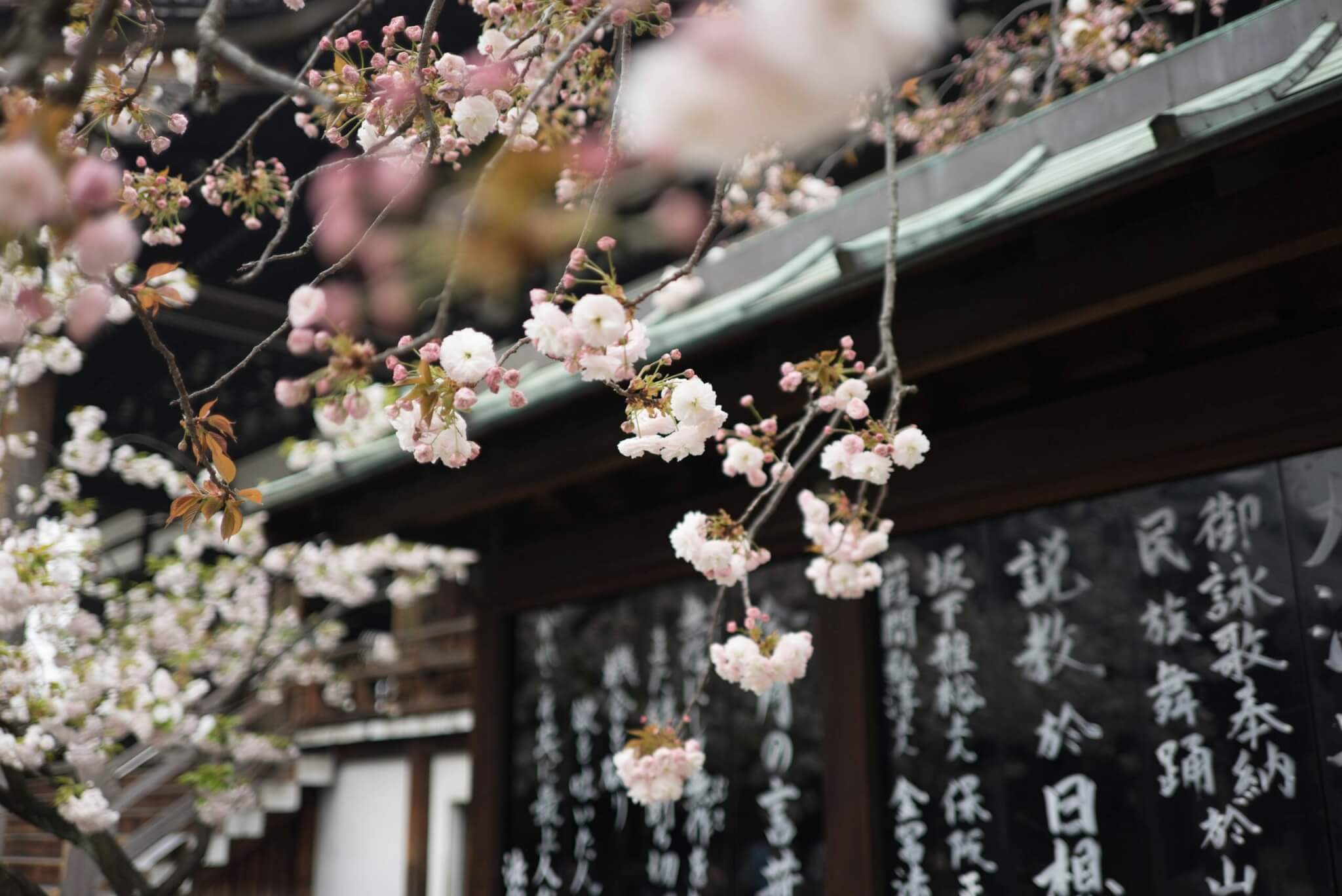 tokyo, japan