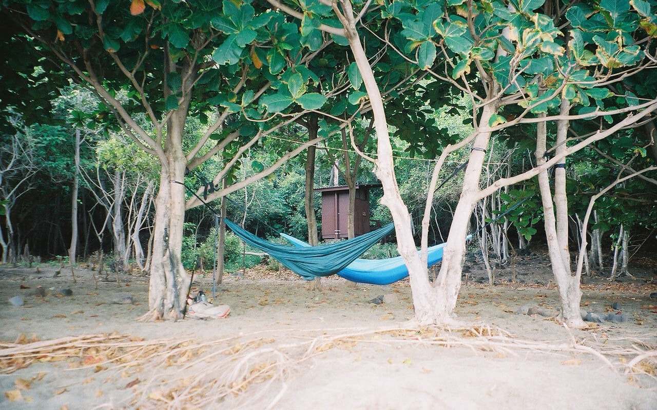 Hammocks connected to trees