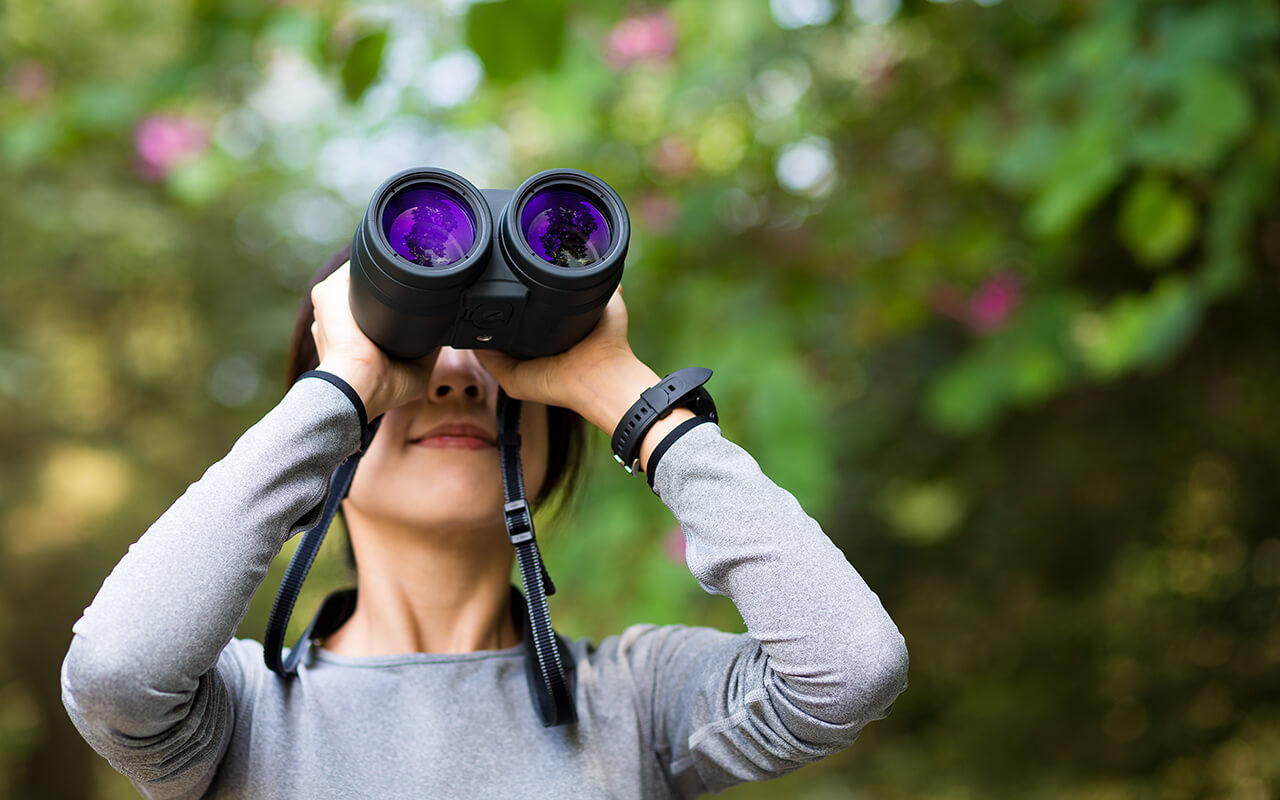 Woman looking though binocular in jungle