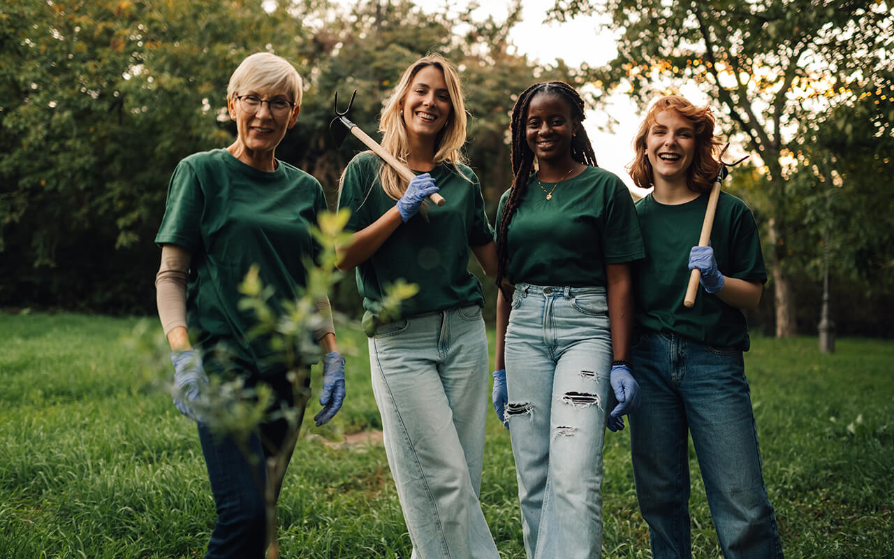 Volunteers planting trees in the forest