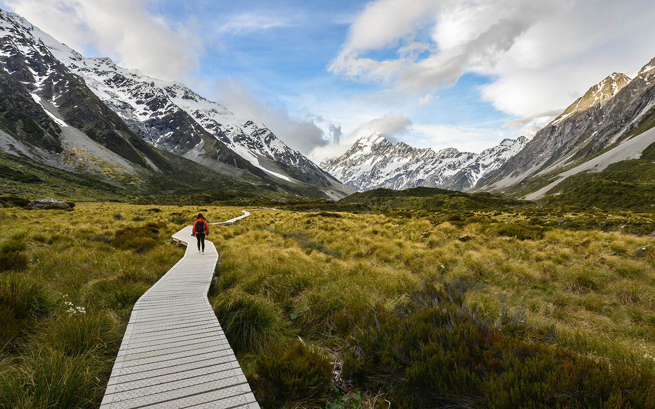 Woman backpacker walking on the wooden way to Mt Cook in New Zealand