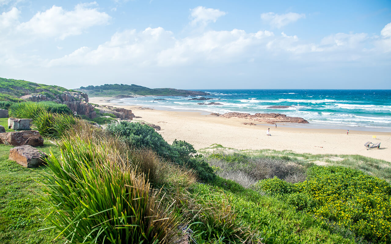 Beach East Coast Bay of Fires, Tasmania