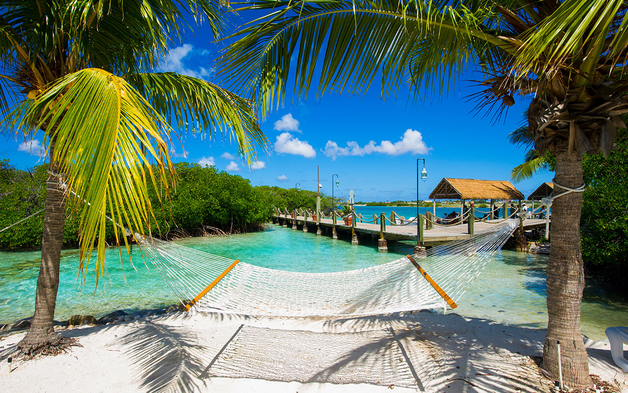 Beach hammock between palm trees at a tropical Aruba resort
