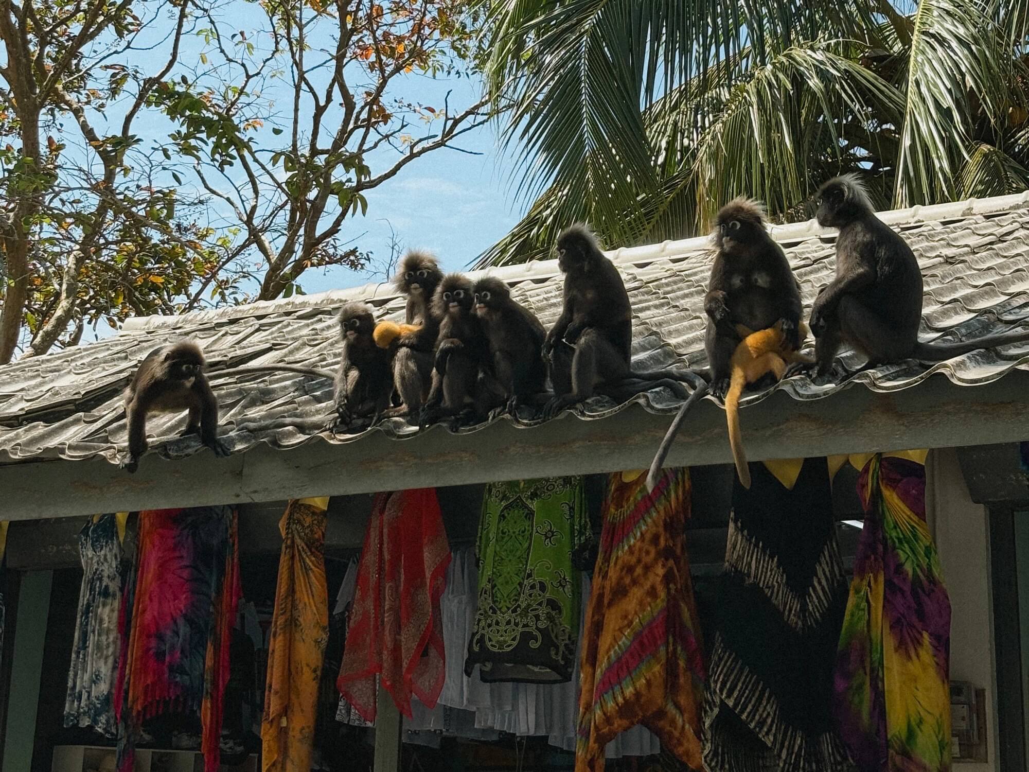 Langkawi, Malaysia