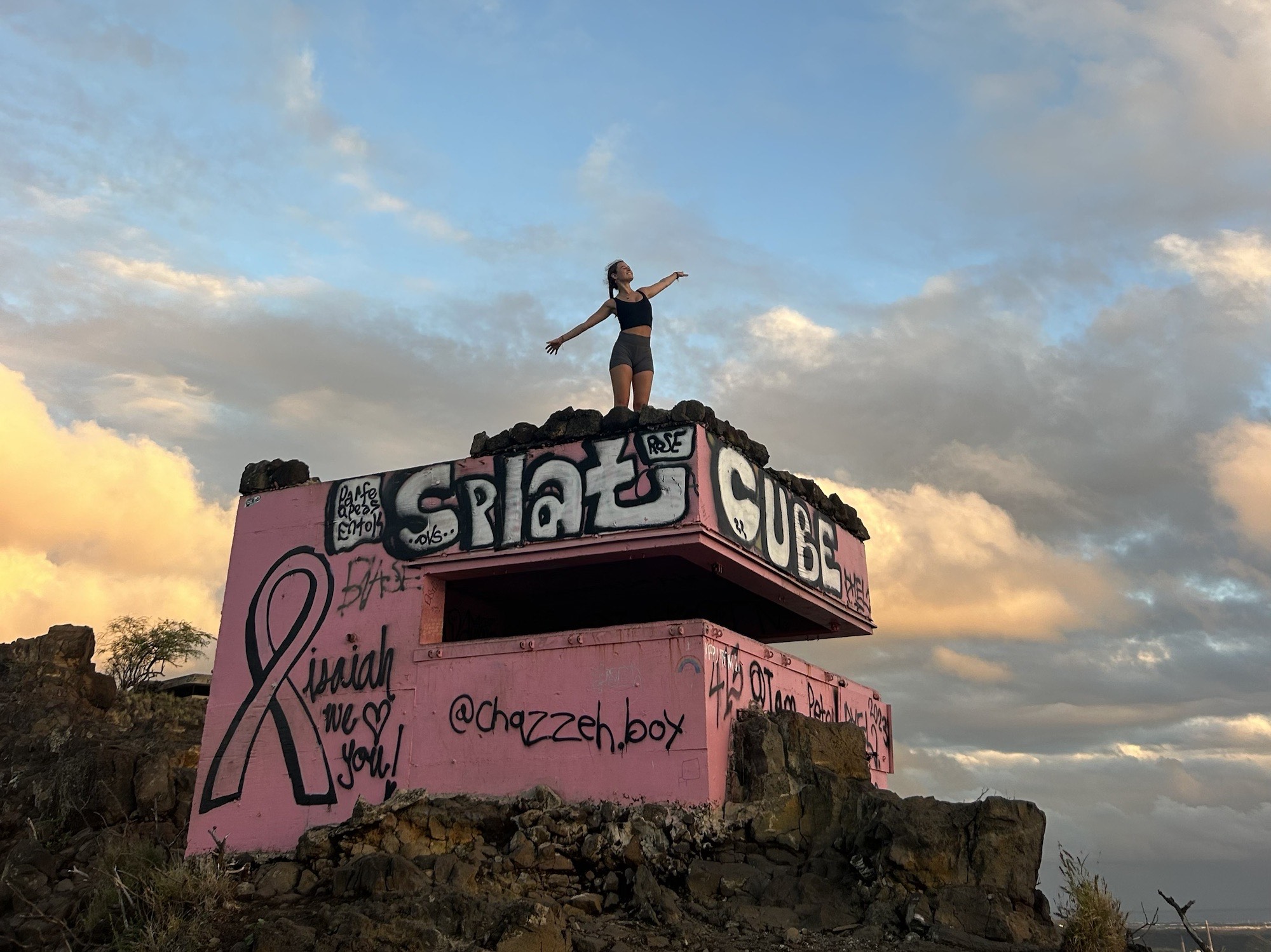 Pink pillbox, Oahu, Hawaii