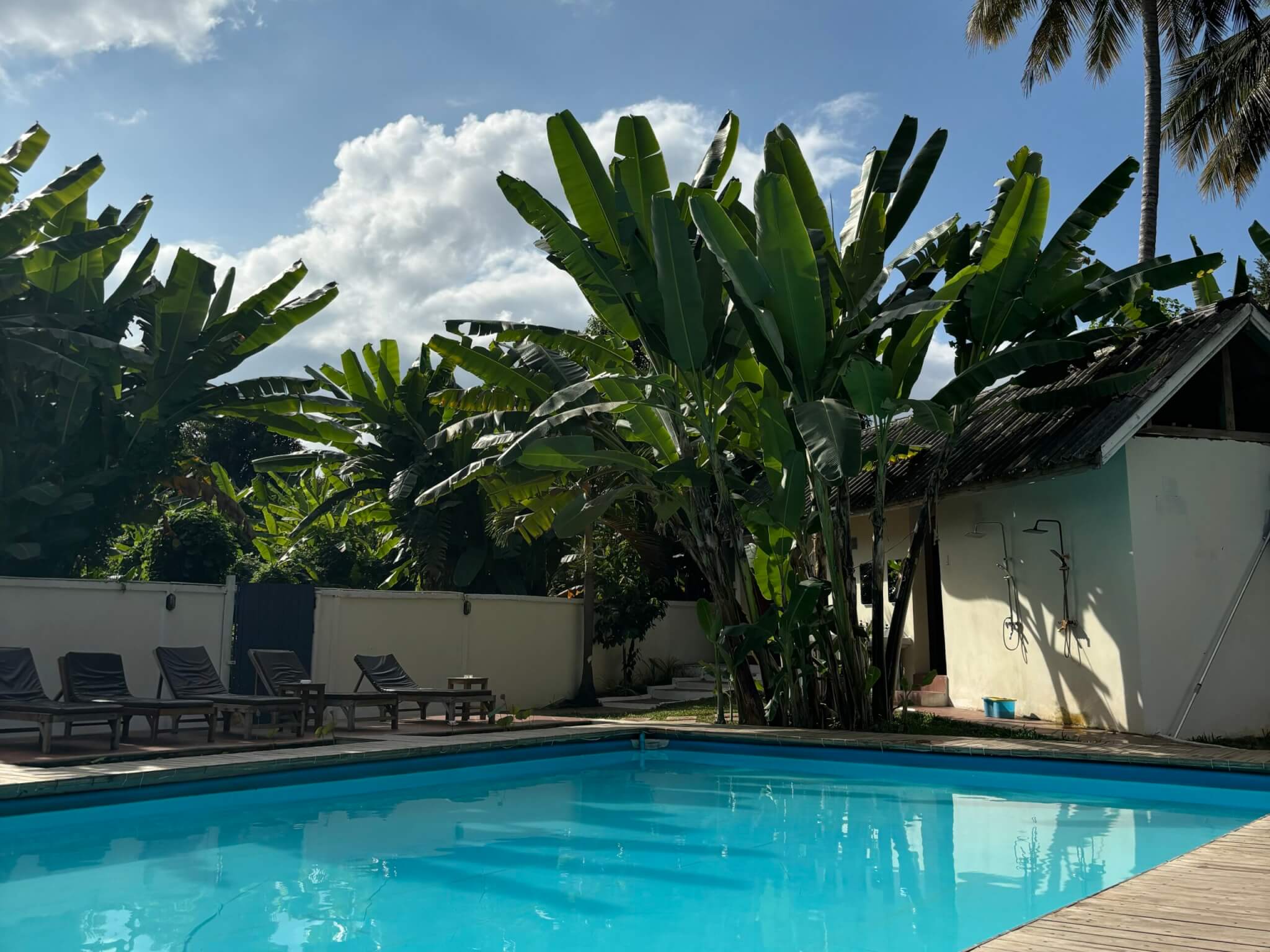 Poolside view from The Jam Hostel