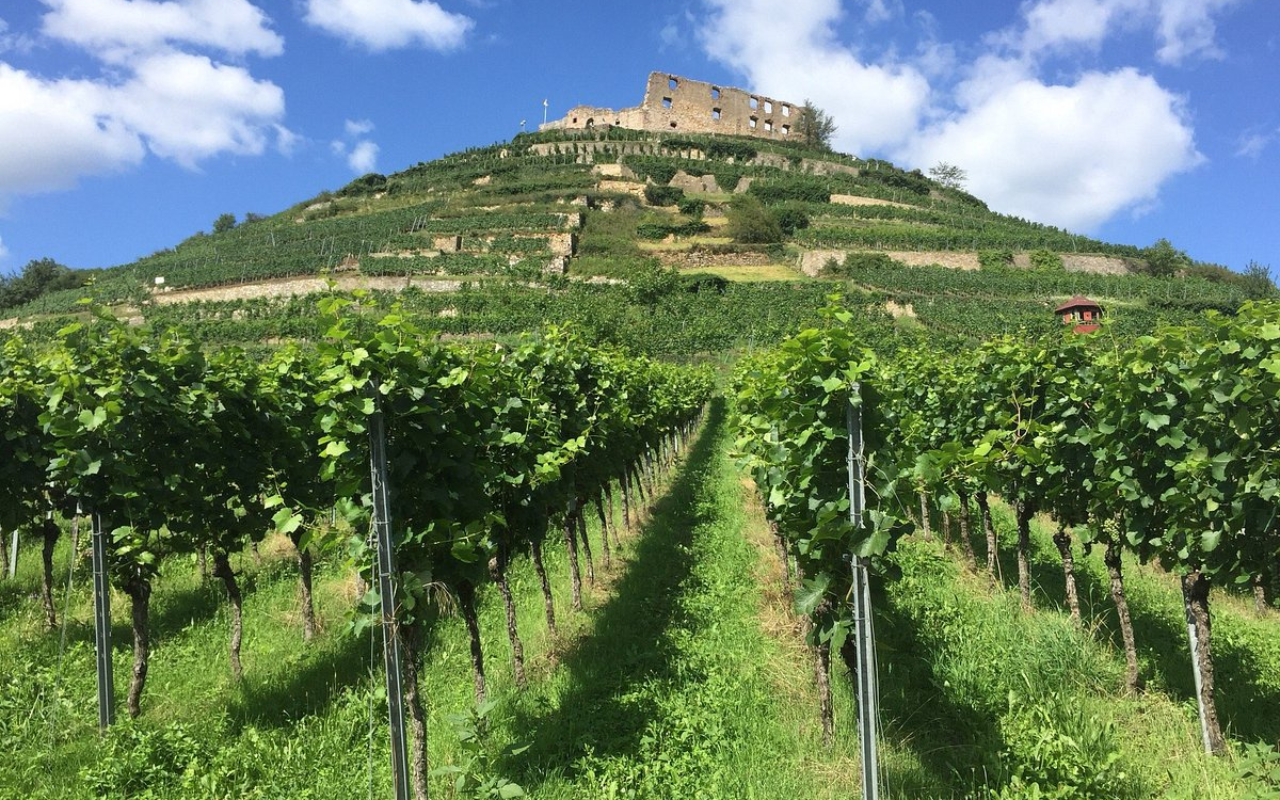 Staufen im Breisgau, Germany