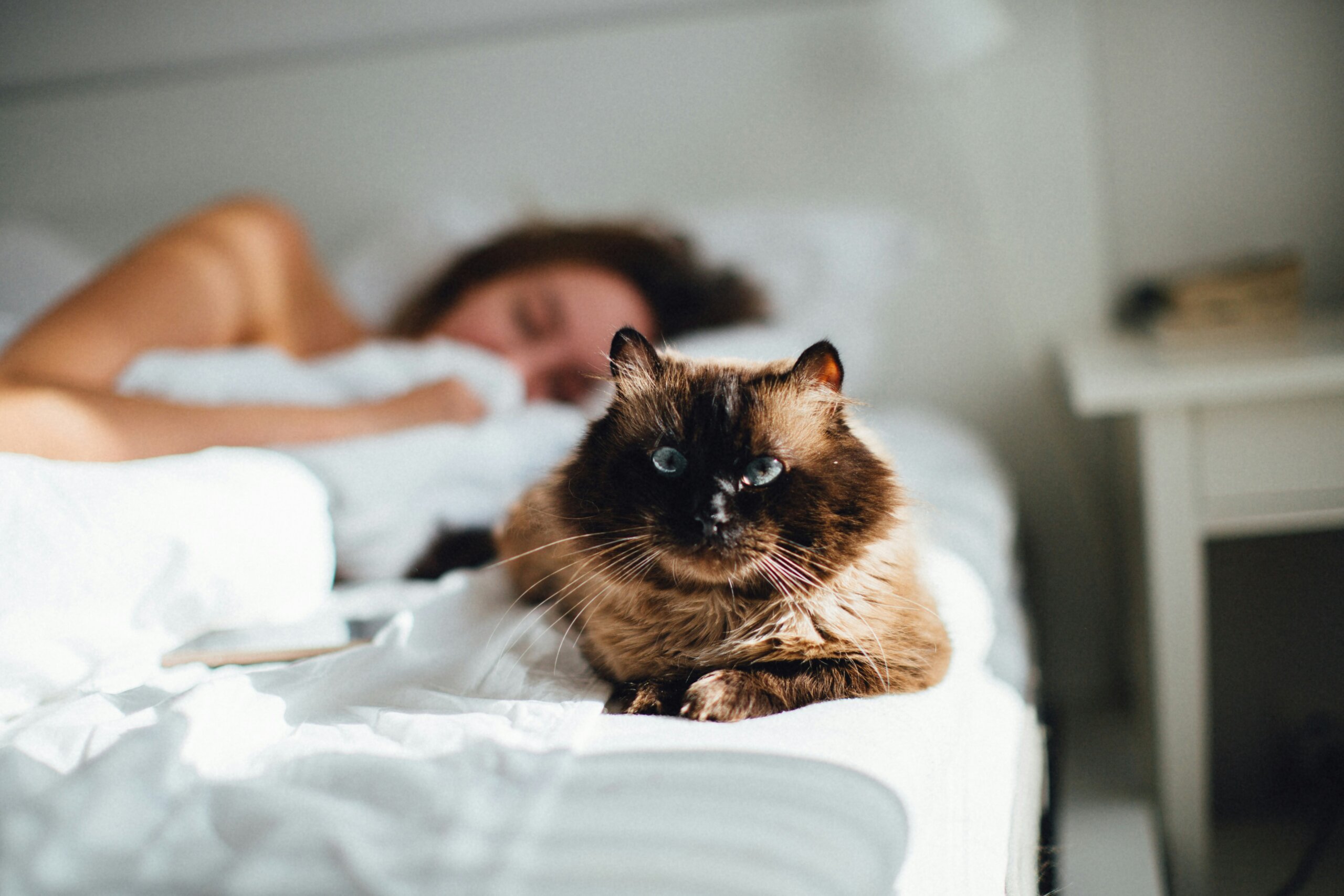 woman sleeping in bed