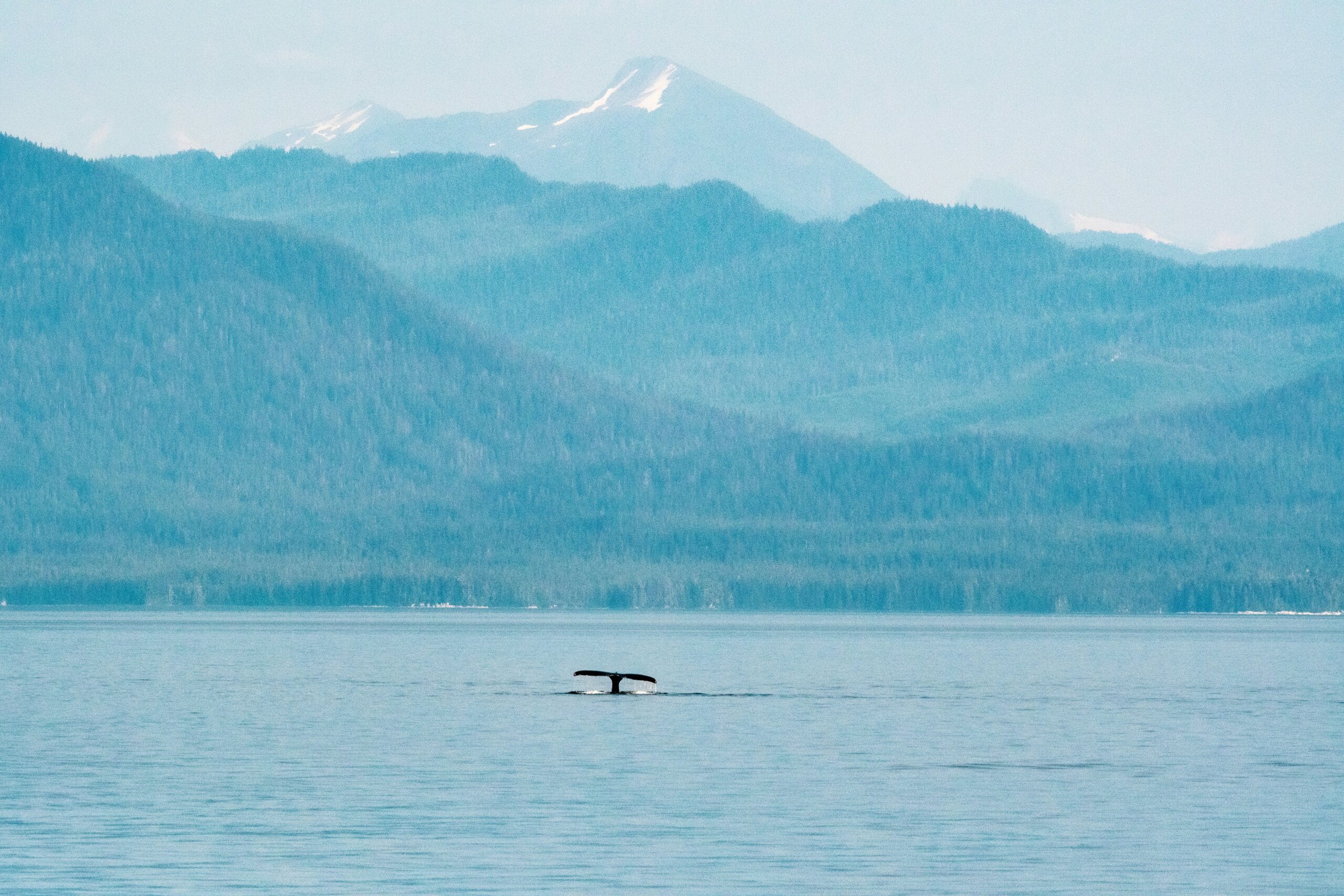 alask inside passage