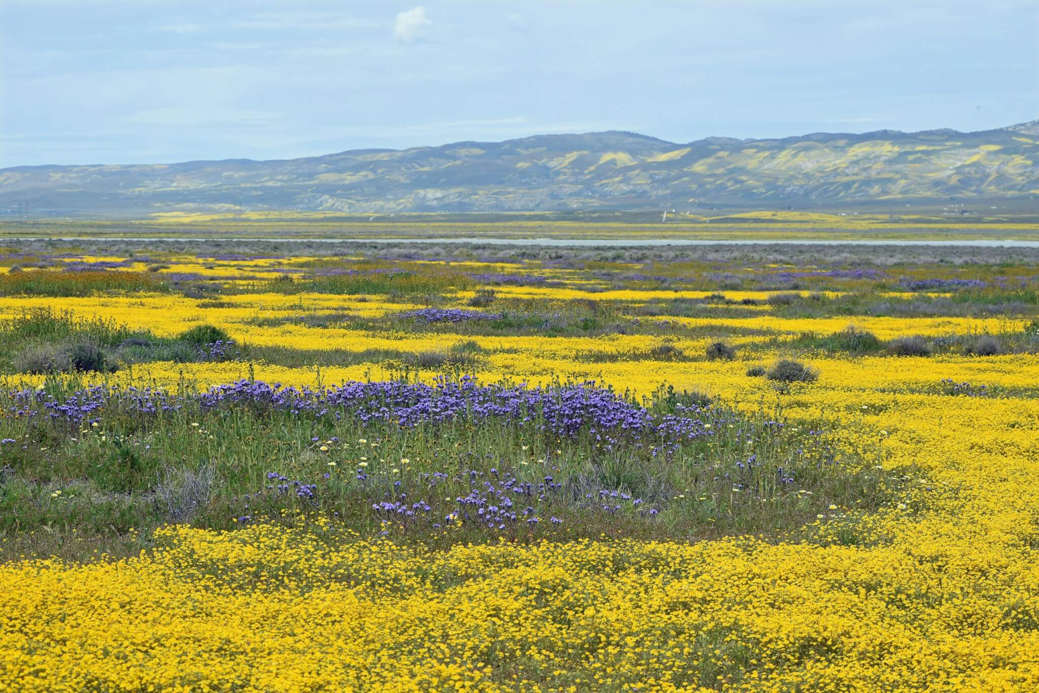 carrizo plain national monument