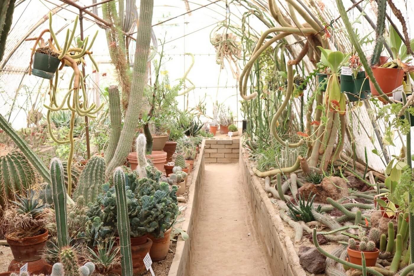 moorten botanical garden
