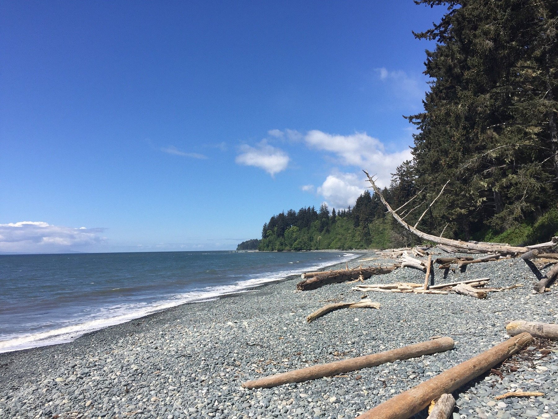 sandcut beach