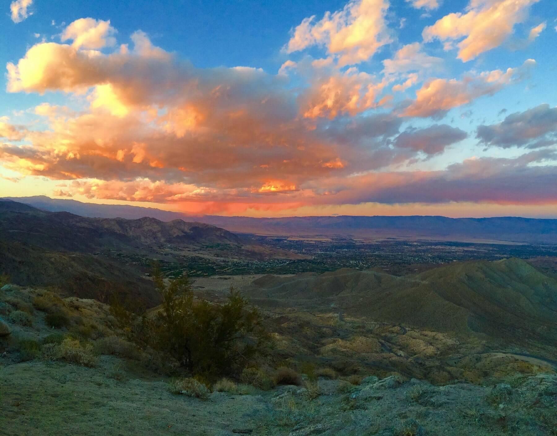 palms to pines scenic byway