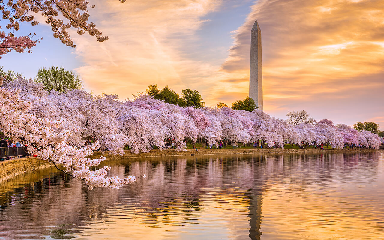 Washington DC in Spring
