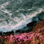 mori point road, pacifica, california