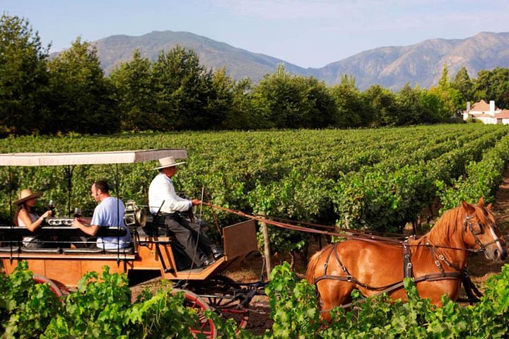 colchagua valley, chile