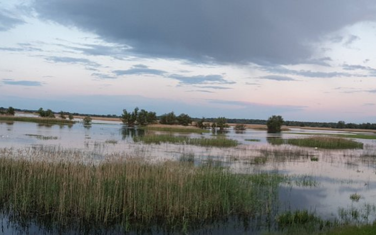 Kopački Rit Nature Park