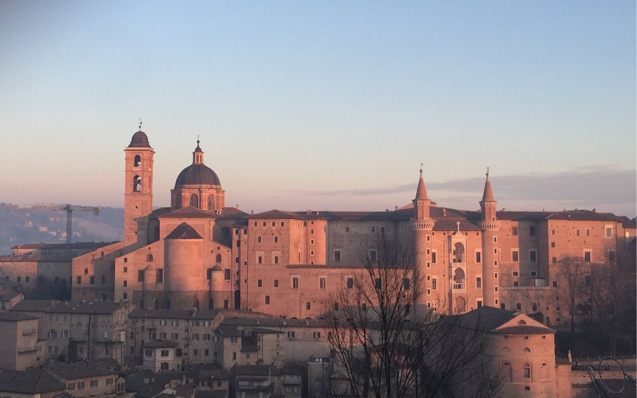 Urbino