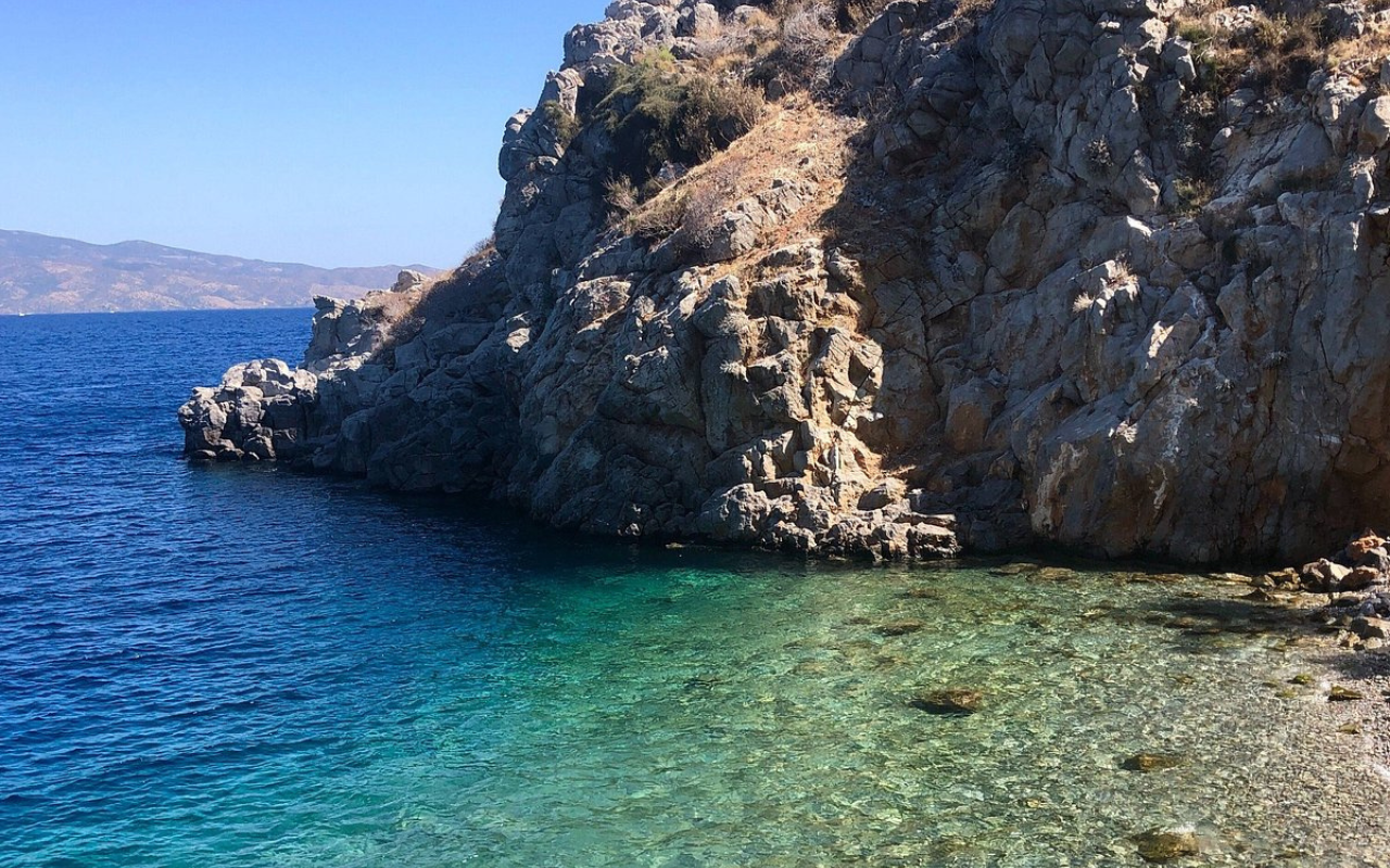 Hydra