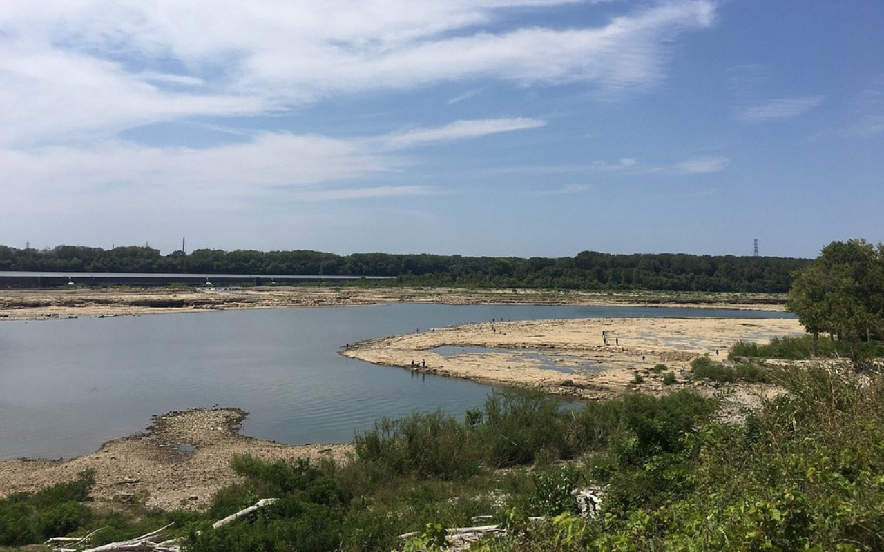 Reef in Indiana