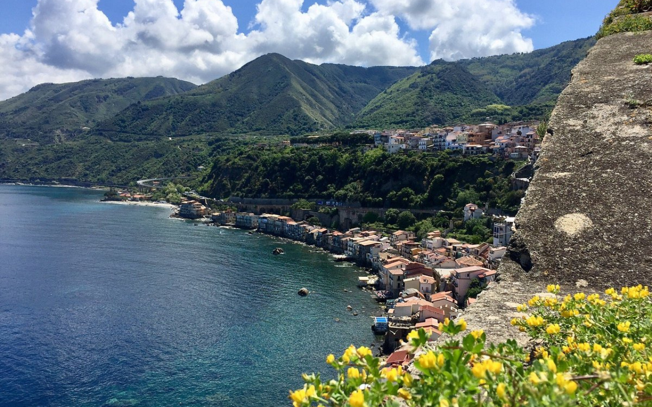 Scilla